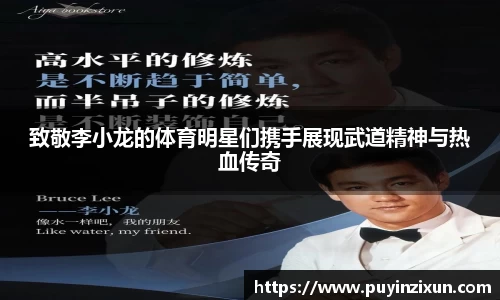 V体育