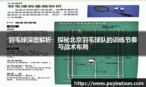 VSport-胜利因您更精彩