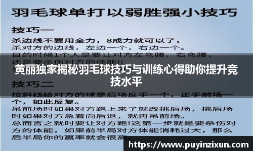 VSport-胜利因您更精彩