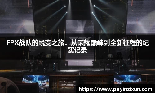 VSport-胜利因您更精彩