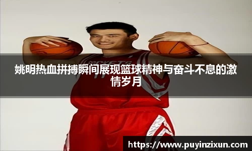 VSport-胜利因您更精彩