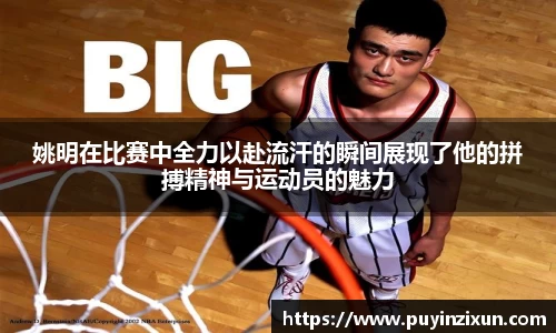 VSport-胜利因您更精彩