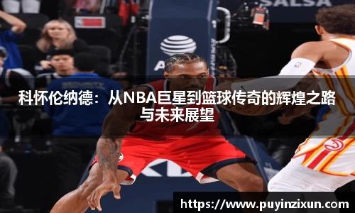 V体育