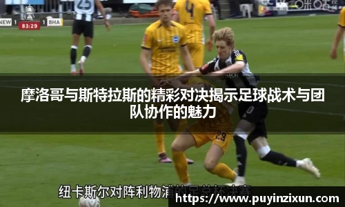 VSport-胜利因您更精彩