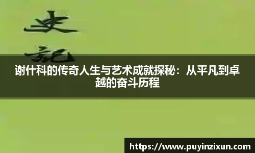 V体育