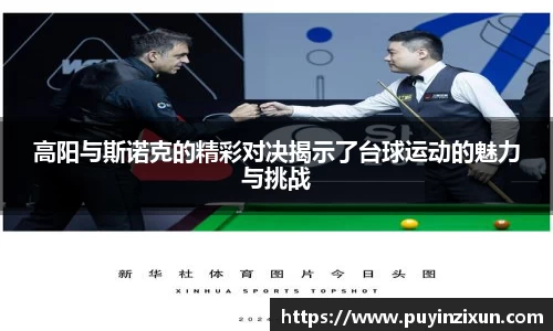 VSport-胜利因您更精彩