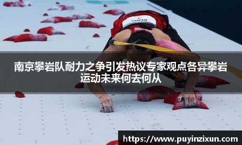 V体育