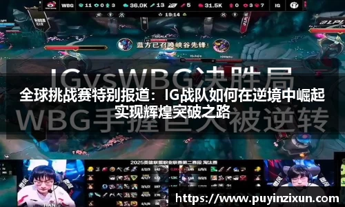 V体育