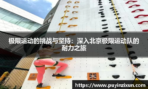 VSport-胜利因您更精彩